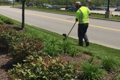 Lawn Maintenance Commercial Services - PMSI