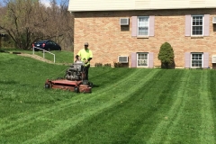 Lawn Maintenance Residential Services - PMSI